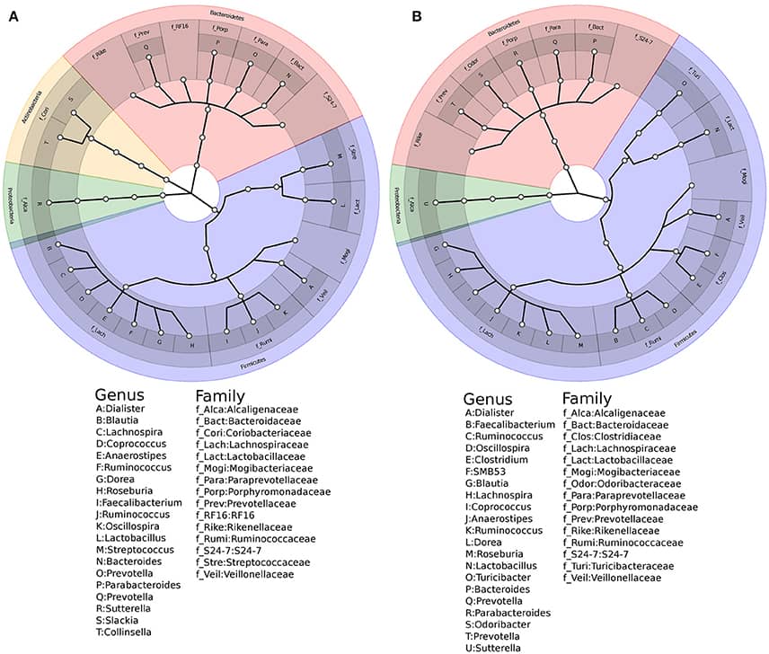 Western Indian Rural Gut Microbial Diversity in Extreme Prakriti Endo-Phenotypes Reveals Signature Microbes